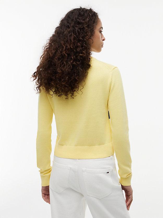 Flag Crew Neck Jumper